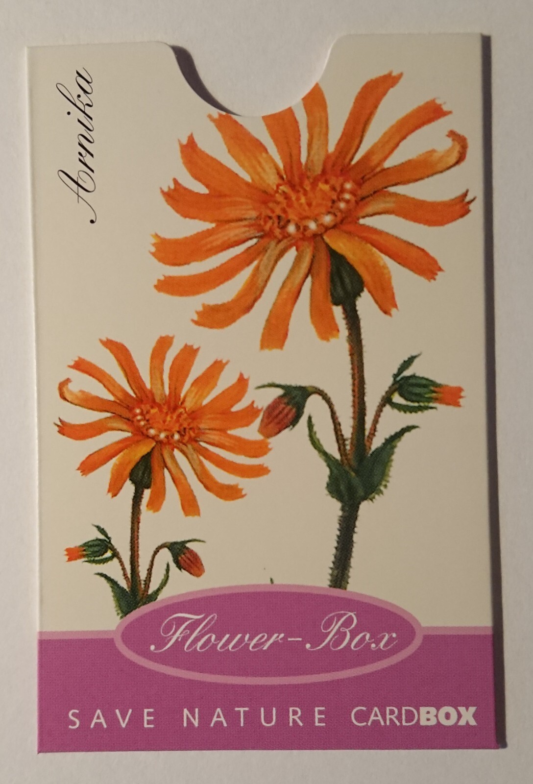 Card Holder Cardbox Phone Card Bank Card EC Flower Box Save Nature Arnica-image