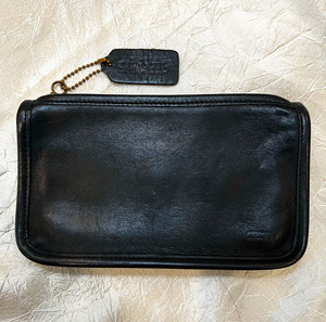 Coach Chunky Case | eBay