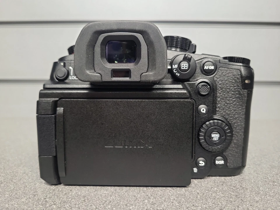Panasonic Lumix GH6, photo 4 of 5
