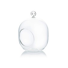 WGV Hanging Glass Plant Terrarium, Width 5", Height 6", Lantern DIY Air Succu...