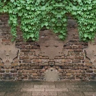 SW0302 Backdrop/Background Photography For 16" AOD BJD Doll similiar size Doll