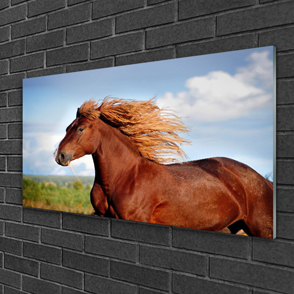 Impression sur verre Cheval 100x50 cm pour sublimer votre salon contemporain