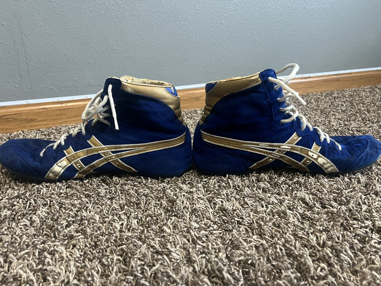 2014 Asics Dave Schultz RARE Wrestling Shoes Size 10.5 thumbnail 2