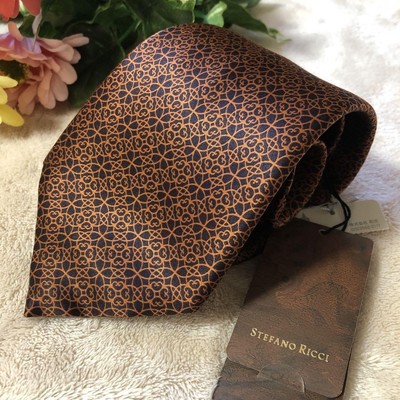 Stefano Ricci Brown Tie Silk Men  Logo Italy  Auth