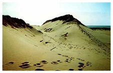 Postcard NATURE SCENE State of Massachusetts MA AS3149