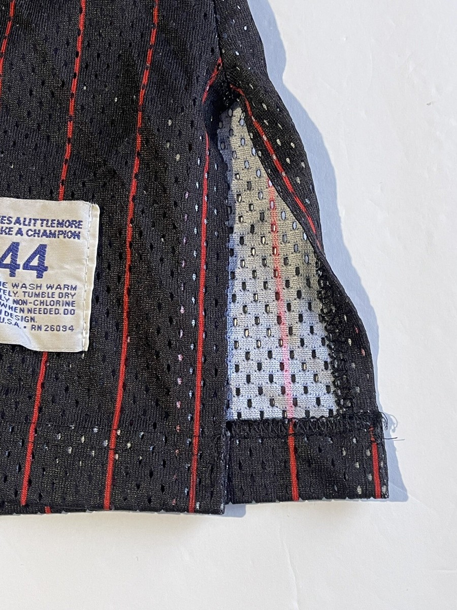Vintage Champion Chicago Bulls Michael Jordan #23 Pinstripe