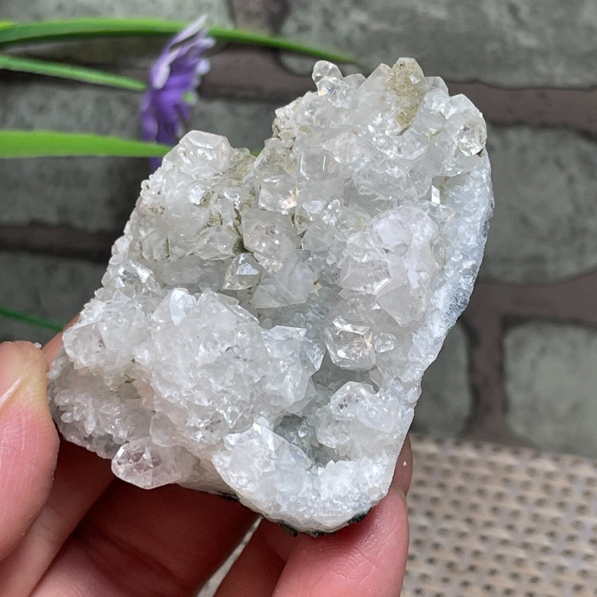 フレキシア ⭐︎cell crystal Transparent Fish Eye Crystal And Zeolite Symbiotic Specimense 73g