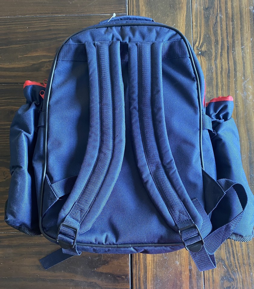 Picnic Backpack Wine and Cheese Set for 4 with Detachable Bottle Cooler