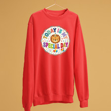 Cute Lion Today Is My Special Day Sweatshirt Toddler Boy Girl Birthday Party