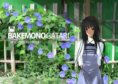 Anime Monogatari Series Senjougahara Hitagi 2D 11x17 Poster