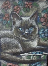 ACEO ORIG. MING SIAMESE CAT  ON FLOWERED PILLOW. CATS KITTENS