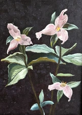 Impressionist Trillium Wildflowers Oil Painting SOPHIE Signed Framed 11 x 14''