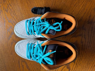Size 8.5 - Nike Dunk Pro SB Low Electric Pack