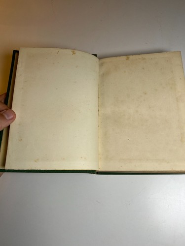 Antikes viktorianisches Buch verziert ausgefallen vergoldet 1887 Jules Verne fünf Wochen Ballon - Bild 13 von 24