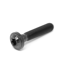 M6 X 30 Titan Low Profile Torx Scheiben Kopf Schraube X 1.0 T30 Schwarz Nitrid