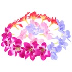 Bild 7 von 12