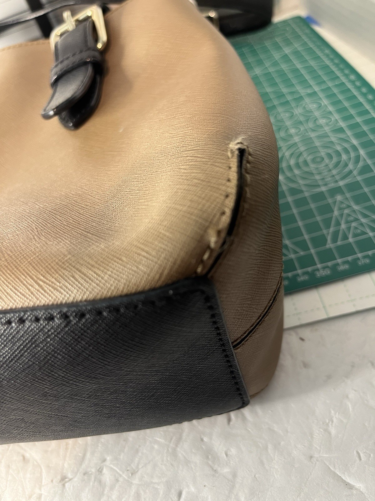 Picture 4 of 5