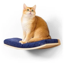 Curved Cat Shelves Wall Mount, Floating Cat Bed with Cushion, Cat Perches
