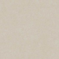 Vliestapete 385948 Uni Grau As Creation Geo Effect (4,09€/1Qm)