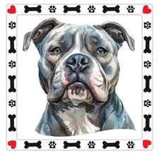 American Bully Dog Stickers A195