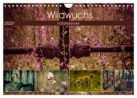 "Calendar 2027 · US Version · Wild Growth 2027 (Wall Calendar 2027 12\" × 8\" Lands"
