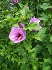 Picture 7 of 7