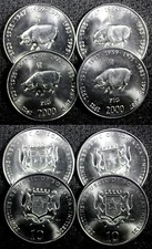 Somalia 2000 10 Shillings / Scellini Pig 25mm  GEM BU KM# 101 RANDOM PICK (1 C.)
