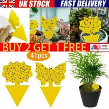 41X Fly Catchers Window Flower Traps Stickers Bug Insect Killer Sticky Window