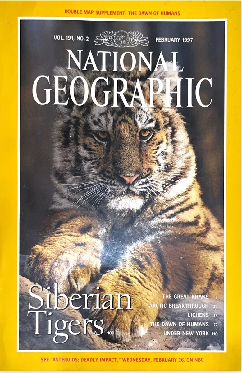 Siberian Tiger  National Geographic