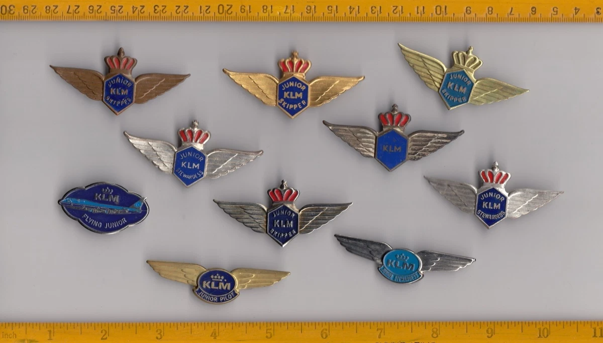 【超レア】パンアメリカン航空 パイロット ウイング ピンバッチ Pan Am Pilot | eBay