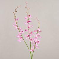 Artplants KüNstliche Cymbidium Orchidee Mondego, Rosa-Pink, 95Cm