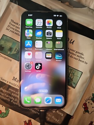iPhone 13 Pro Max With Tiktok