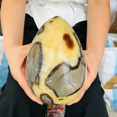 6.82LB Natural Septarian Dragon Stone Crystal Egg Quartz Healing Decoration