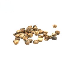 50pcs 8mm Round CAB CABOCHON Natural Picture Stone Round Stone Beads No Holes