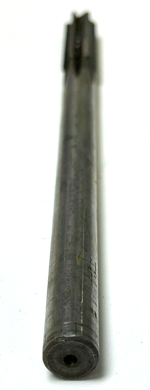 Foto 3 di 6