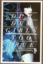 Dum Dum Girls Too True 2014 PROMO POSTER