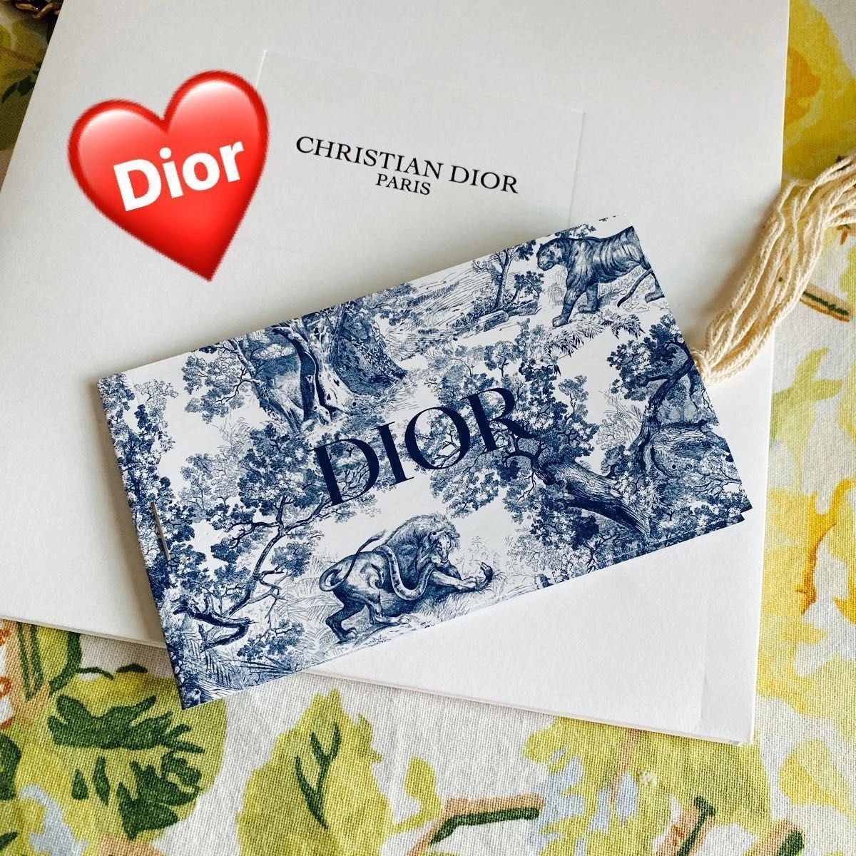 Christian Dior Dioriviera Sac de Voyage Étiquette Bagage Lot de 6 Pièces Pas A Vendre