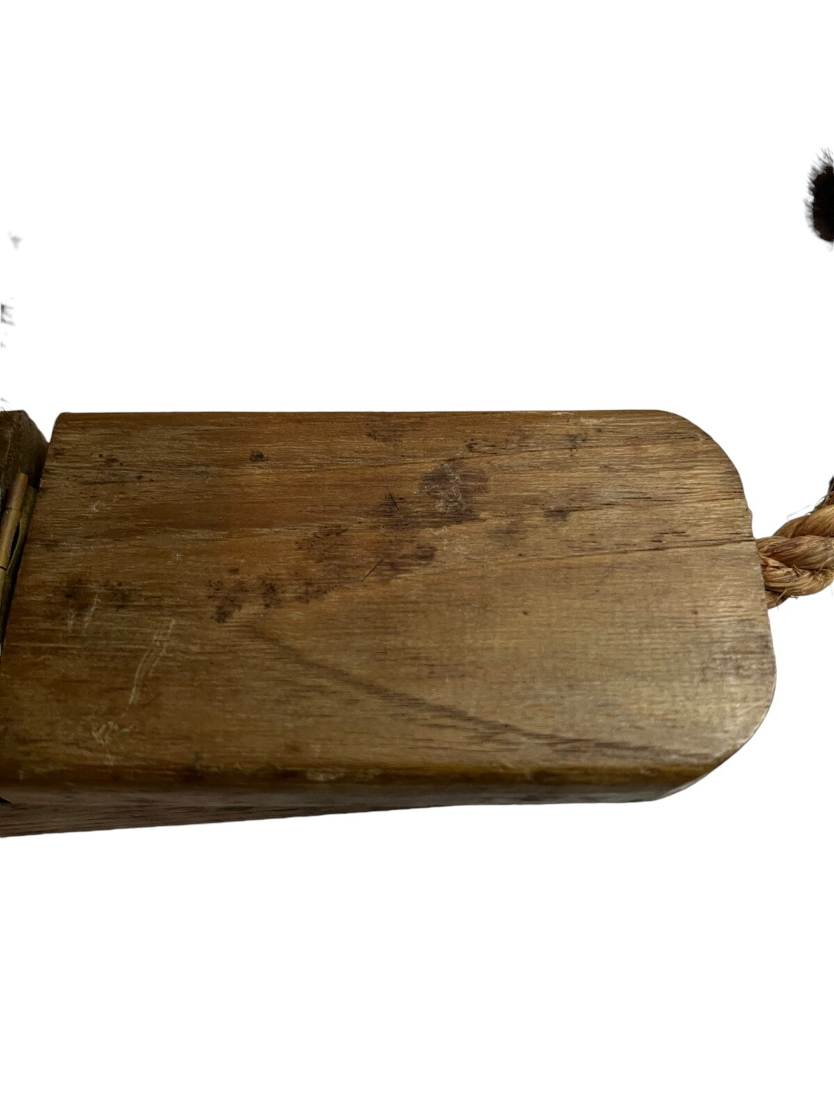 Zooline Lion MCM JV Orel Wood Desk Decor Office Pen Ink Holder Box