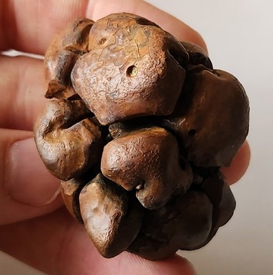 93g Gator Skin Siderite Concretion Septarian Mineral Display Specimen