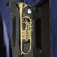 Flat Rotary Trumpet with Octave Keys and Trigger, Case Included