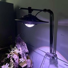 Aquatic Plant Lighting Holder Supplies Sturdy Saltwater Aquatic Plants