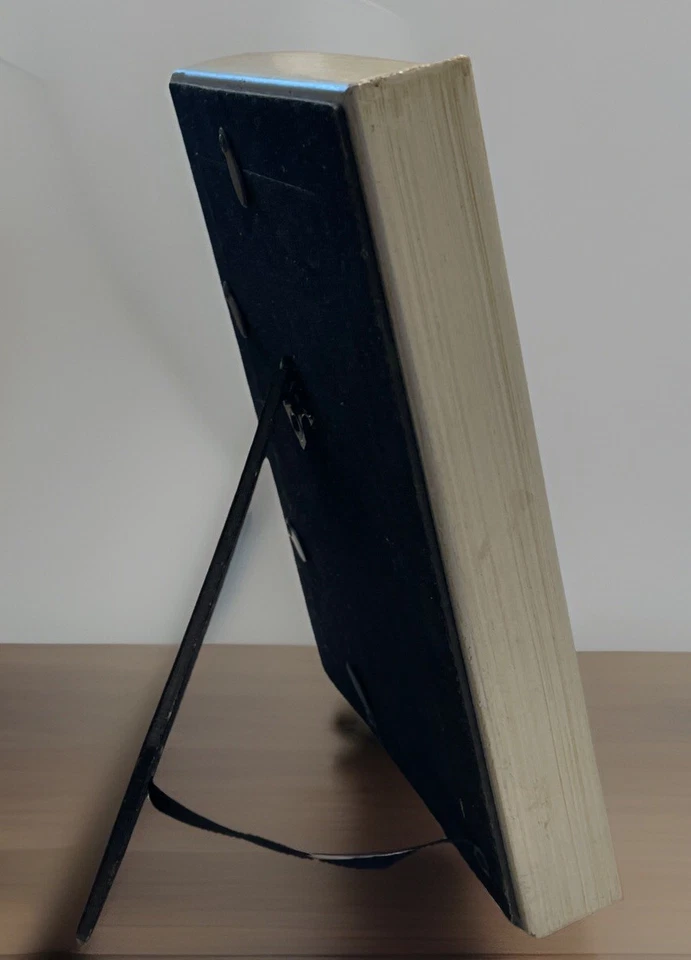 Marco de fotos SAGE 4x6 plateado dorado cepillado envejecido en relieve enmarcado caja imagen Foto 3 de 4