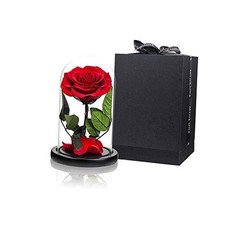 Preserved Roses Roses in Glass Dome, Preserved Flowers for Mothers Medium Red