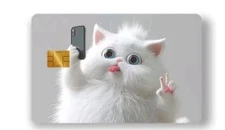 Cat Kitten Chubby Selfie Credit Debit Credit Card Sticker Skin Free Shipping 