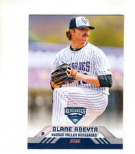 B7114- 2022 Hudson Valley Renegades Choice BB Cards -You Pick- 15+ FREE US SHIP