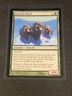 Magic the Gathering Coldsnap Aurochs Herd