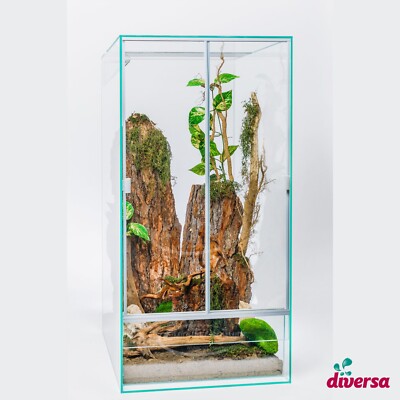 diversa Hochterrarium Schiebetür Glas Terrarium ab 45x45x60cm