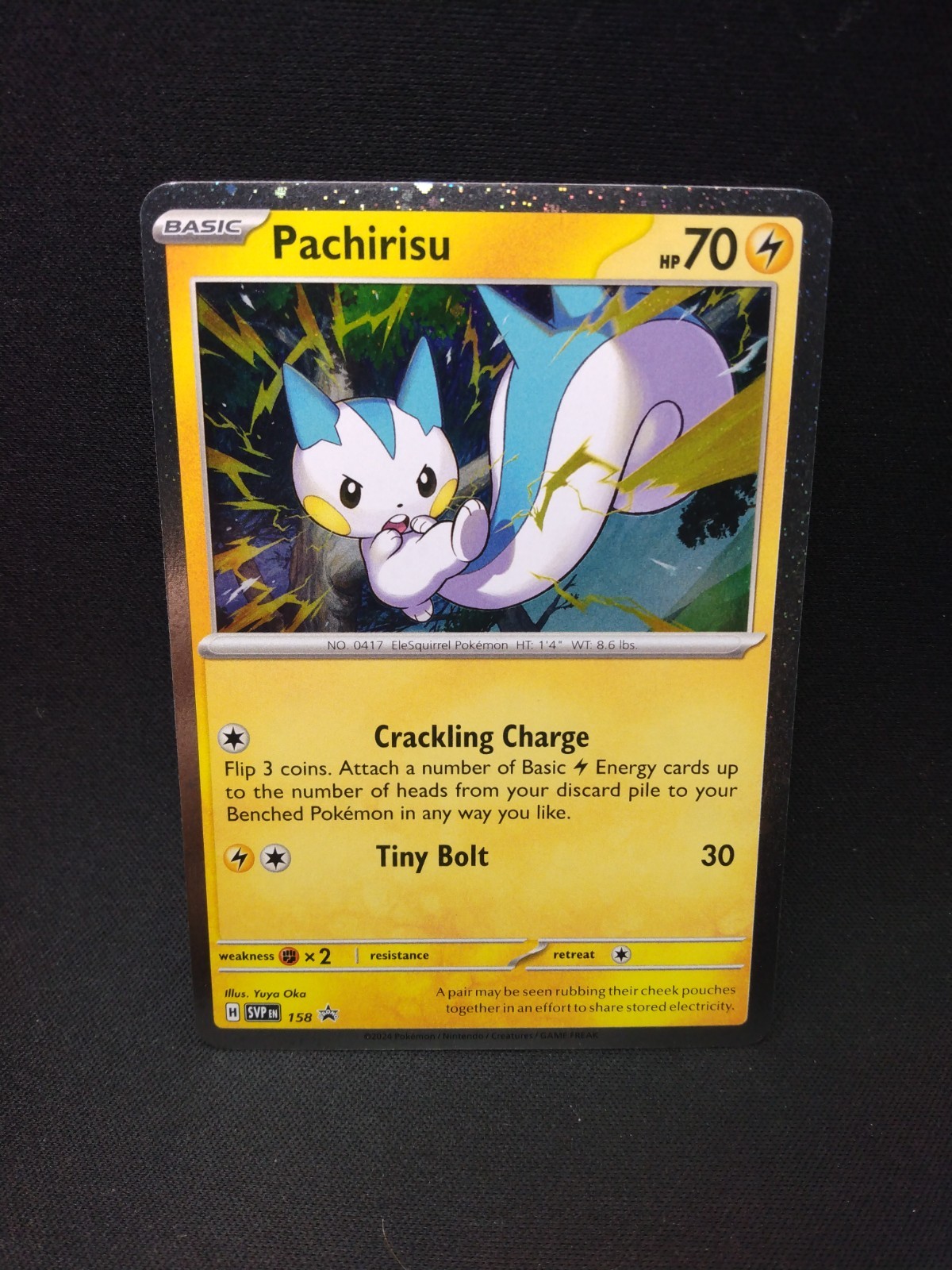 Pokemon TCG Promo : Choose Your Card