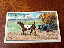 Gallaher - The Great War Series 1915 - #13 Dogs Used To Find Wounded