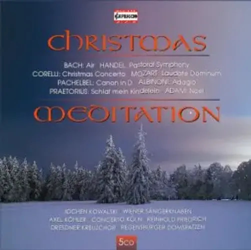 Christmas Meditation | Various | Audio-Cd | CD | 2010 | Naxos | EAN 845221070735-image
